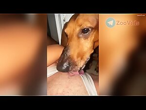 Lick and creampie erotic video