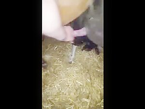 Discover bestiality and extreme sex with our Ponycum video