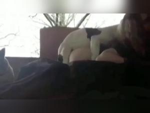 Immerse yourself in the abyss: Sluts & Dogs in a wild dance of pleasure