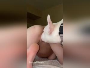 Unleashed Slut: Wild Love with Dog