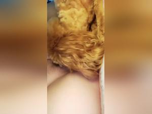 satisfied by the brute, wild and irresistible fucking