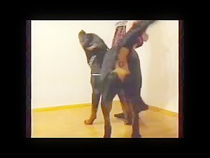 Intense Moments of Sex with Dogs