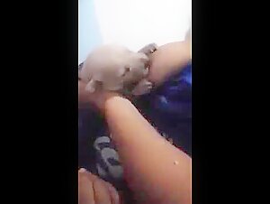 Sex with dogs and animals: intense and shocking moments