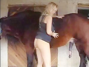 Hard and extreme sex moments with horses