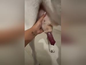 satisfied his deepest desires with dog