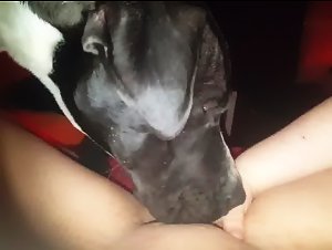 Intense and Exciting Sex Scenes with Dogs