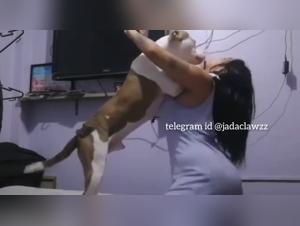 Dog Fucks the Slut: Unrestrained Zoophilia