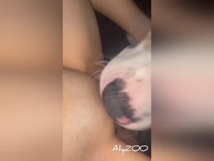 désir sauvage, pute et son chien