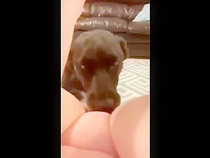 Amateur Video: Discover the World of Bestiality