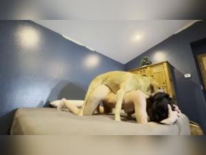 Schmutzige Huren und Hund - eine damonische Liebe