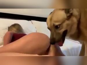 Sex Video: Ultimate scenes of canine domination and submission