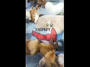 An unforgettable encounter with a fucking dog slut