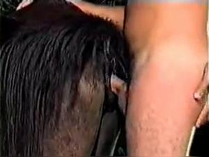 Raw Culmination: Women, Dogs and Forbidden Delights