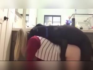 Exploitation Animale : 'Who Let the Dogs Out' dévoile un côté sombre et hardcore