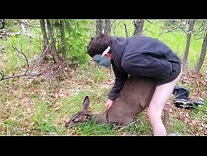 Explore the fascinating world of beast sex and intense bestiality on Zootube!