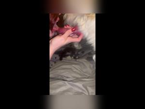 Homemade, teen and dog compilation