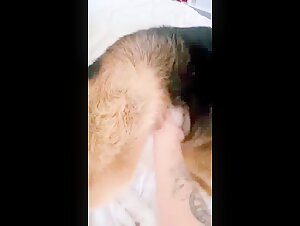 Bestiality sex video: experience the extreme