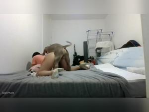 Follada brutal: el perro se corre sin remision