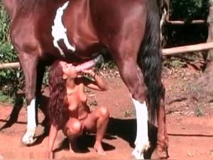 A slut gets mounted by a horse