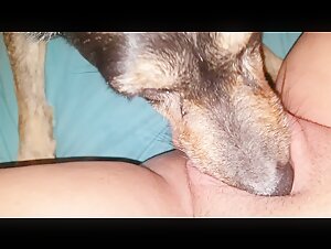Watch This Slut Get Licked Deep
