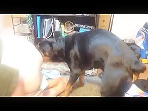 Extreme sex video with a blue-haired girl and her dog