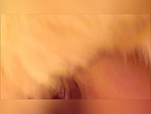 Unveil the hidden secrets of his raw enjoyment with his faithful canine companion.