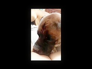 Short compilation of bestiality videos with a young amateur