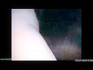 Compilation of Extreme Moments