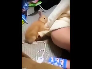 Canine Domination: Power Games & Animal Orgasms