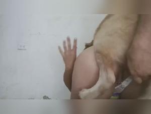 Sluts and dogs: a game of fetishist and brutal power