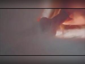 Milly and her Dog: A Perverse Obsession Revealed