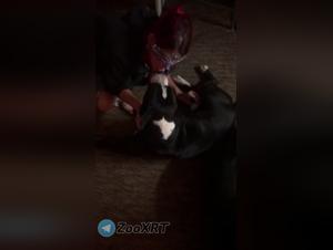 Perro y mujer: placer extremo