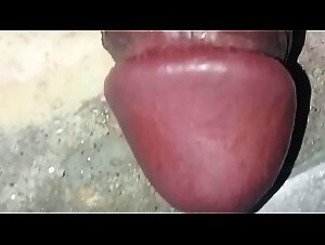 A Bestial and Exciting Experience