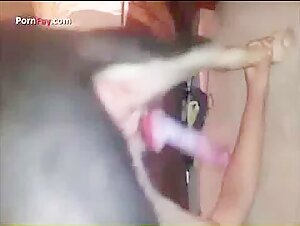 Une expérience extrême de sexe avec chien