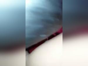 Part 3: Unbreakable Submission, Animal Delights