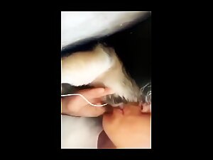 Hundeverfuhrung: ein Orgasmus fur Tier und Mensch