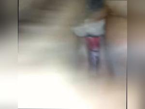 the woman, the dog, and the prohibited act
