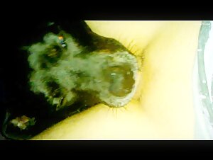 Vidéos de Sexe avec des Chiens