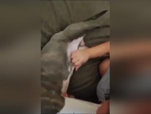 Doggy Debauchery