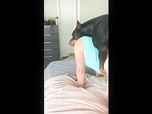Bestiality and intense pleasure: our new bestiality video