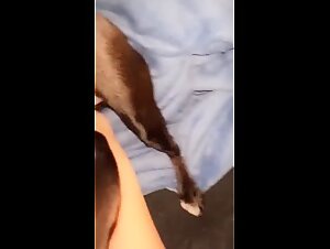Animal bestiality beurette slutty woman fucker and a dog sex with legs in the air