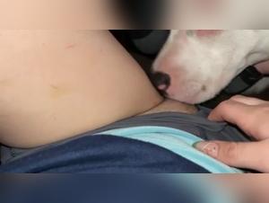 Drugs and Abuse of Power: Human flesh at the mercy of the dog