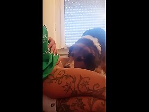 Miss Alice fucks with dog: a whore who is not afraid of his filth