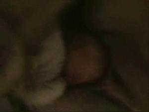 Extreme Sexual Explorations with Animal