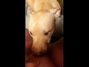 ZooTube: Your Destination for Beastly Porn Adventure