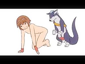 Zoo 2D Videos and Zoo Cartoons: An Exciting Experience