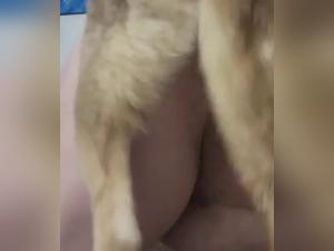 Wild fuck: The dog dominates, the woman suffers helplessly