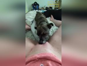 Sinite your Deepest Fantasies: Doggy Fuck Woman in High Definition