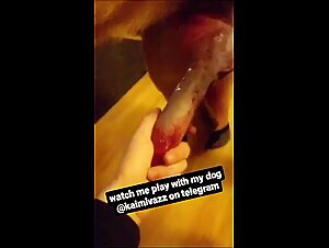 Dog Sex Videos - Discover the Best of Bestiality