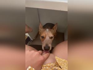 Canine Domination and Female Desire: Explore the Limits